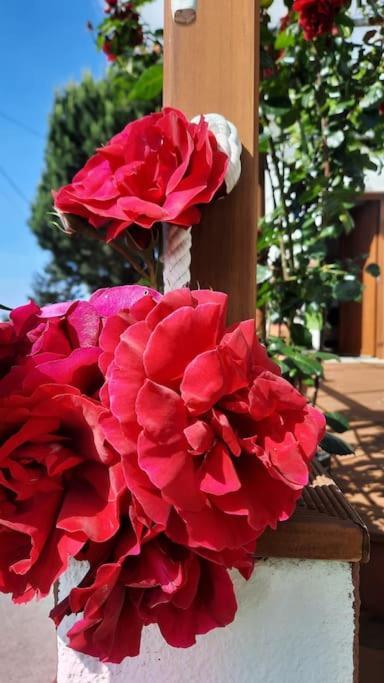산신소 La Casita 빌라 외부 사진